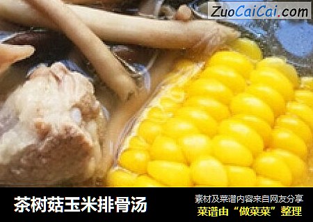 茶树菇玉米排骨汤