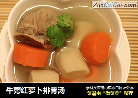 牛蒡红萝卜排骨汤