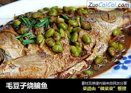 毛豆子烧鳊鱼