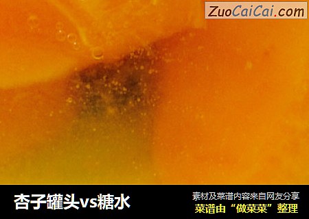 杏子罐头vs糖水