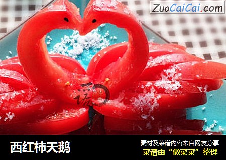 西红柿天鹅