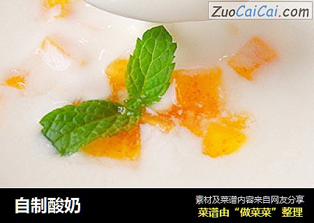 自制酸奶