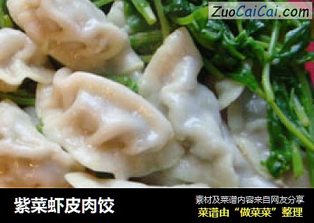 紫菜虾皮肉饺