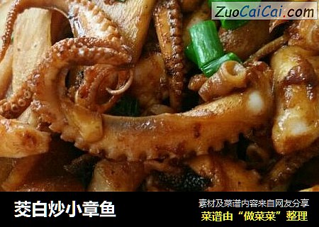 茭白炒小章鱼