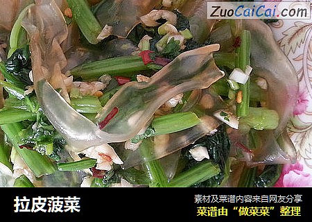 拉皮菠菜