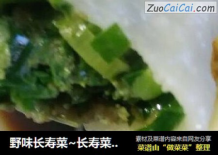 野味长寿菜~长寿菜韭菜牛猪肉两掺大肉饺儿