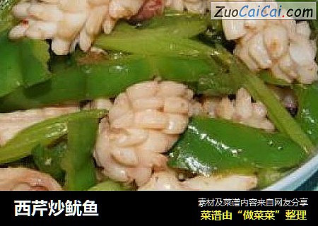 西芹炒鱿鱼