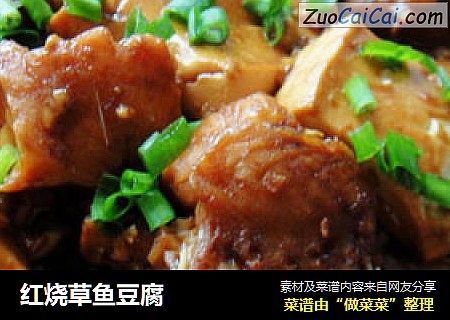 红烧草鱼豆腐