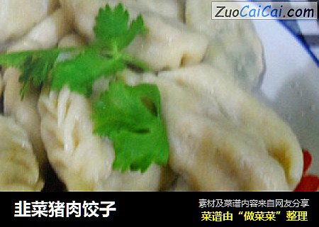 韭菜猪肉饺子