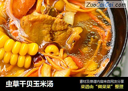 虫草干贝玉米汤