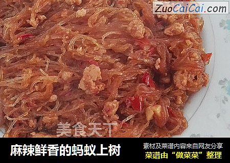 麻辣鲜香的蚂蚁上树