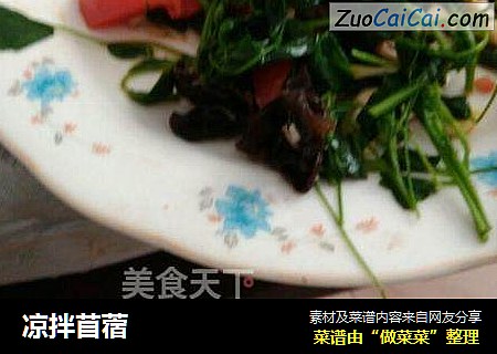 凉拌苜蓿