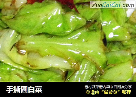 手撕圆白菜