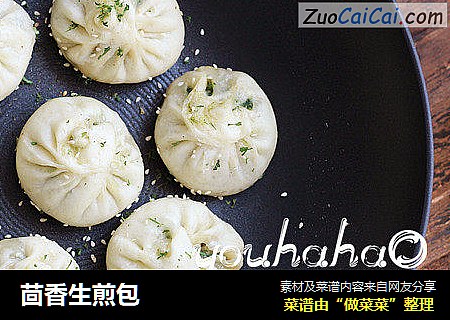茴香生煎包