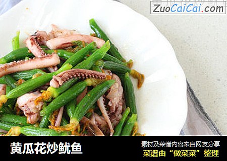 黄瓜花炒鱿鱼