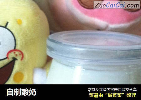 自制酸奶