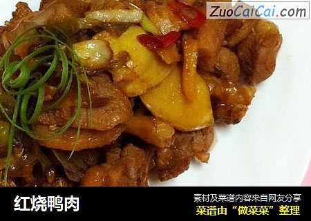 红烧鸭肉