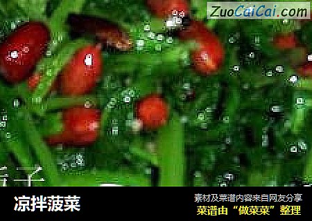 凉拌菠菜