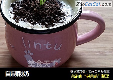 自制酸奶