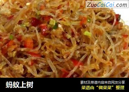 蚂蚁上树