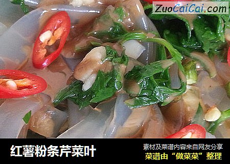 红薯粉条芹菜叶