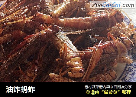 油炸蚂蚱