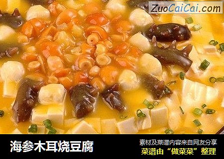 海参木耳烧豆腐
