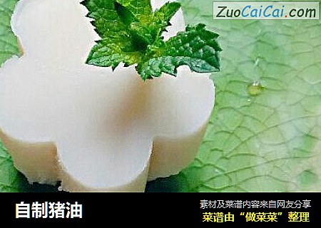 自制猪油