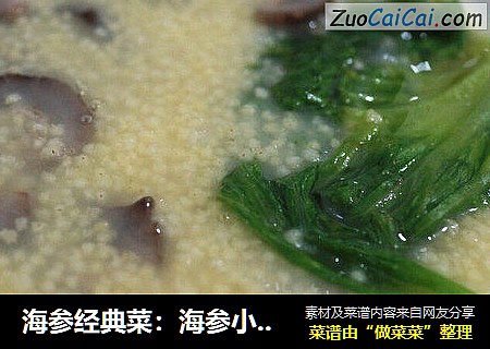 海参经典菜：海参小米粥