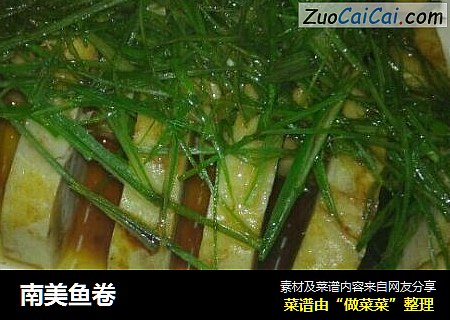 南美鱼卷