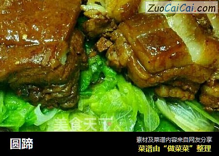 圆蹄
