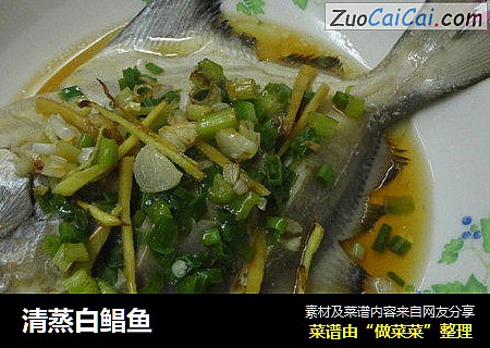 清蒸白鲳鱼