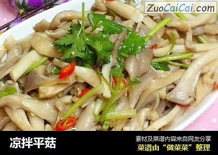 凉拌平菇