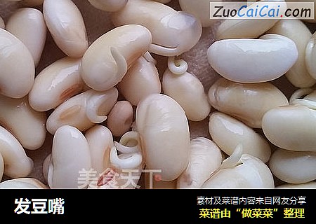 发豆嘴