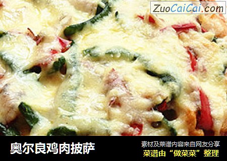 奥尔良鸡肉披萨