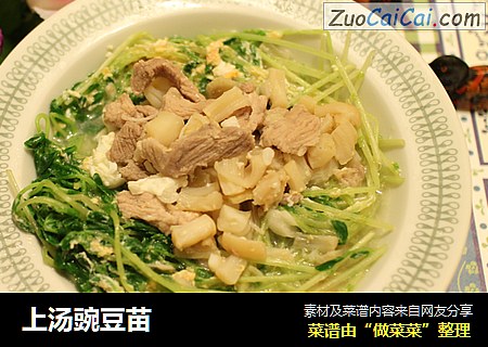 上汤豌豆苗