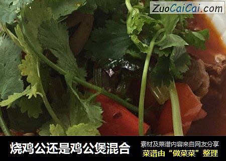 烧鸡公还是鸡公煲混合