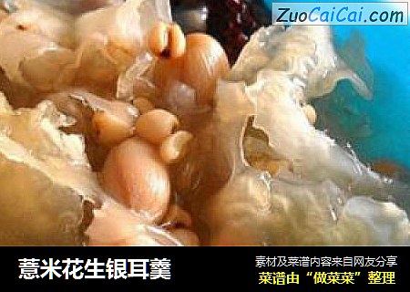 薏米花生银耳羹