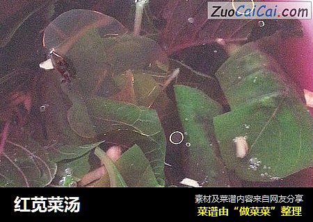 红苋菜汤