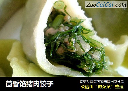 茴香馅猪肉饺子