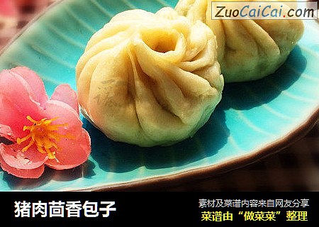 猪肉茴香包子