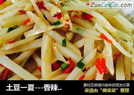 土豆一夏---香辣土豆丝