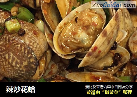 辣炒花蛤