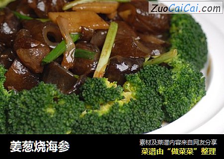 姜葱烧海参