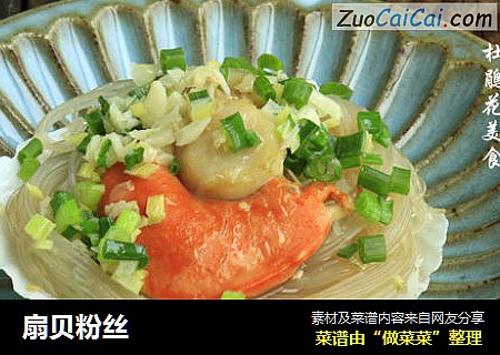 扇贝粉丝