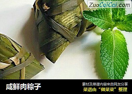 咸鲜肉粽子