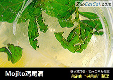 Mojito鸡尾酒