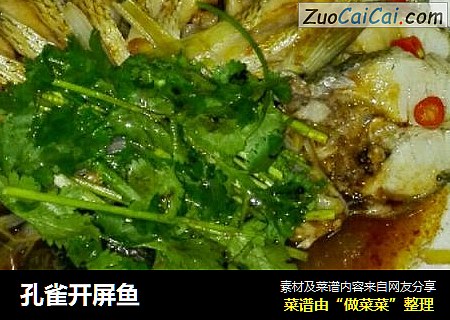 孔雀开屏鱼