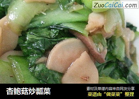 杏鲍菇炒瓢菜