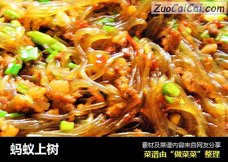 蚂蚁上树
